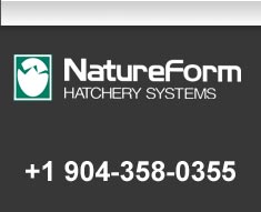 Nature Form Logo