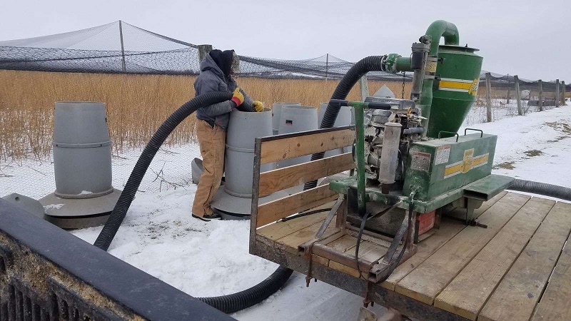 Worker Running the Feed Vac