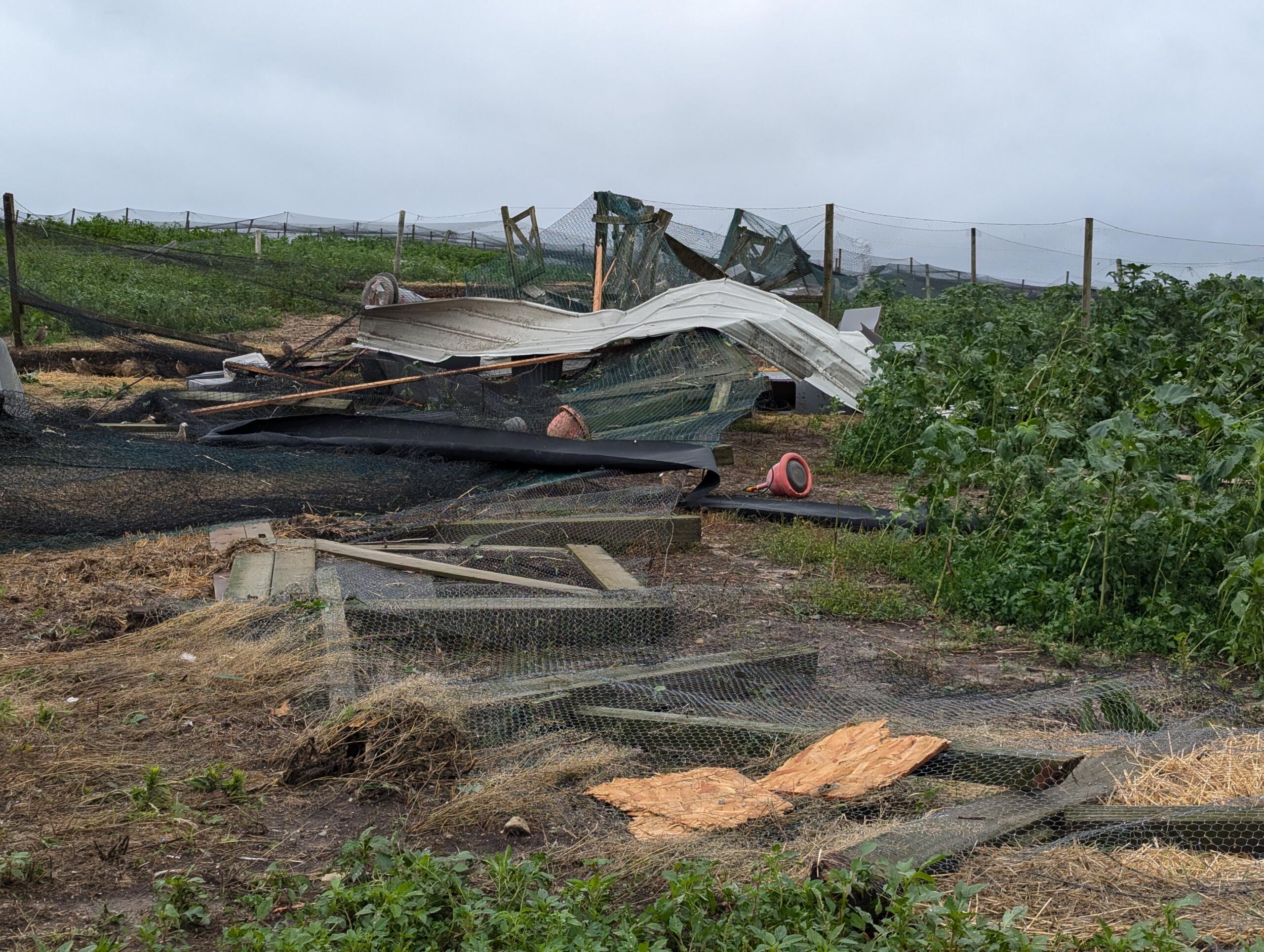 Photo of Storm Damage