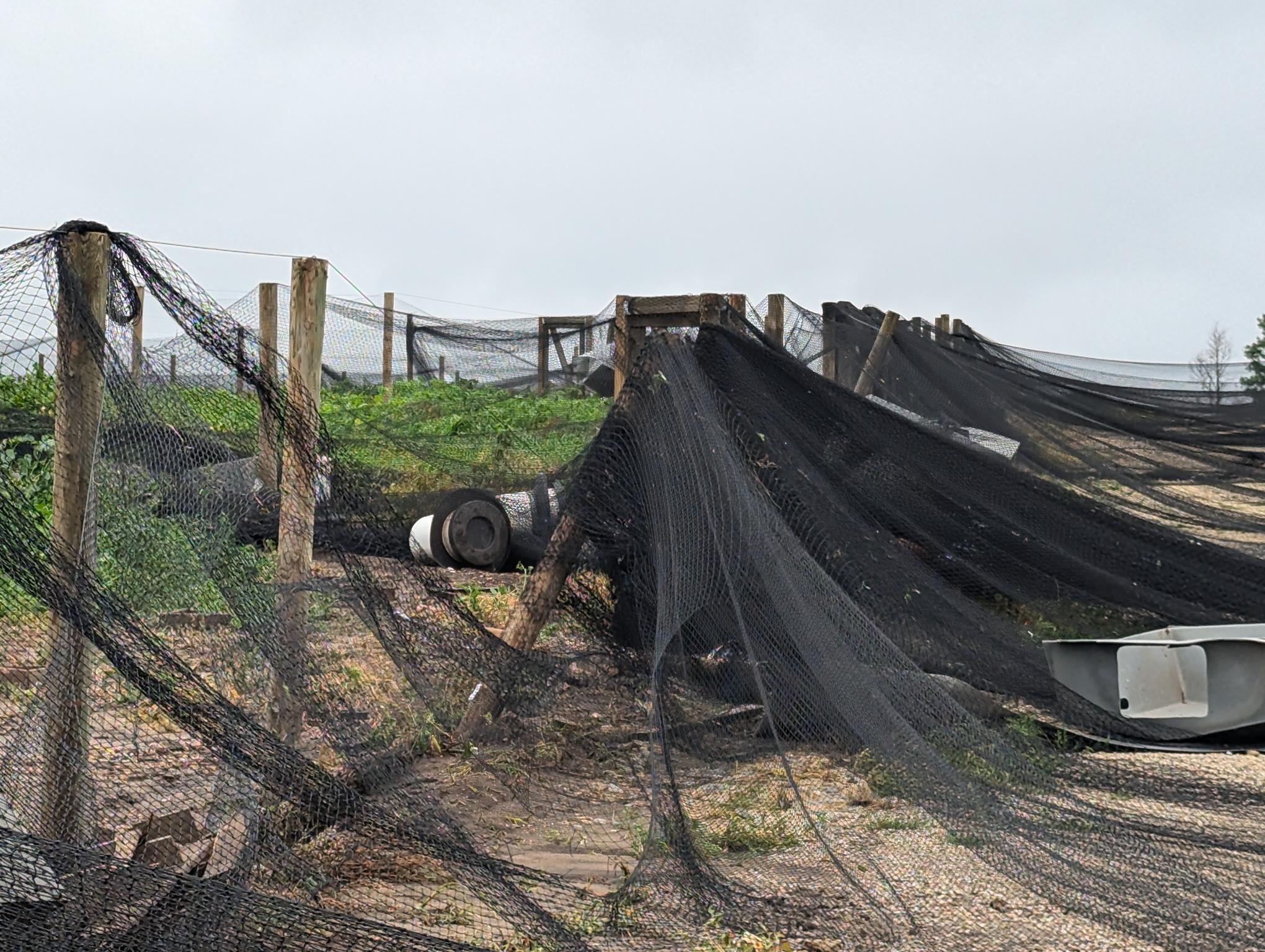 Photo of Storm Damage