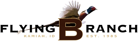 Flying B Ranch Logo