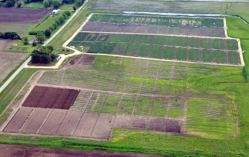 Aerial Photo of Noss Road Pheasant Farm